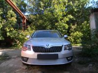 Защита радиатора Skoda Superb 2014- chrome PREMIUM